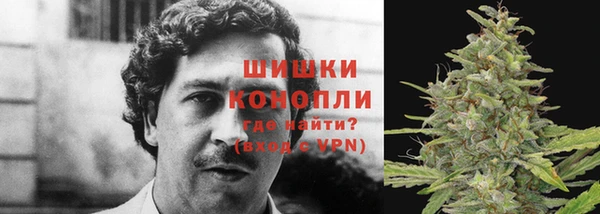 MESCALINE Верея